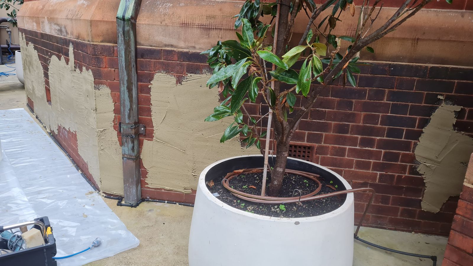 Patches of sacrificial render treatment applied over salt-affected brickwork at the base of a wall