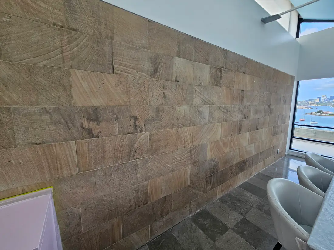 Surface mould caused by trapped moisture in a wall